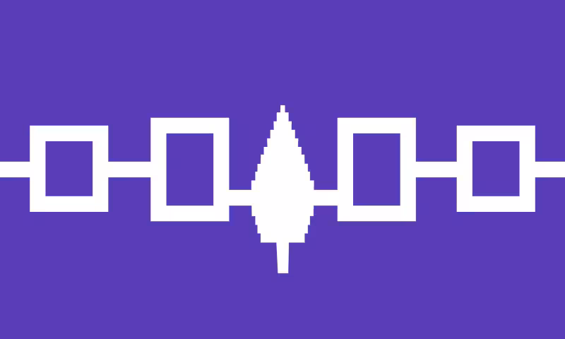 Modern flag of the Haudenosaunee Confederacy